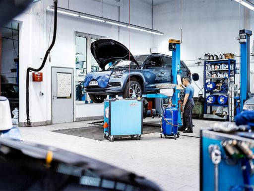 Thema des Monats Oktober 2026: Werkstattverhalten